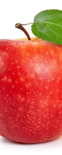 Apple Price in India (as of 11 …