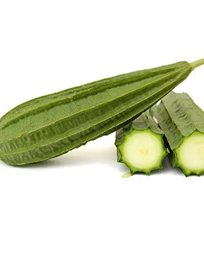 Ridge Gourd — Crop Protection Guide | ACROP AI